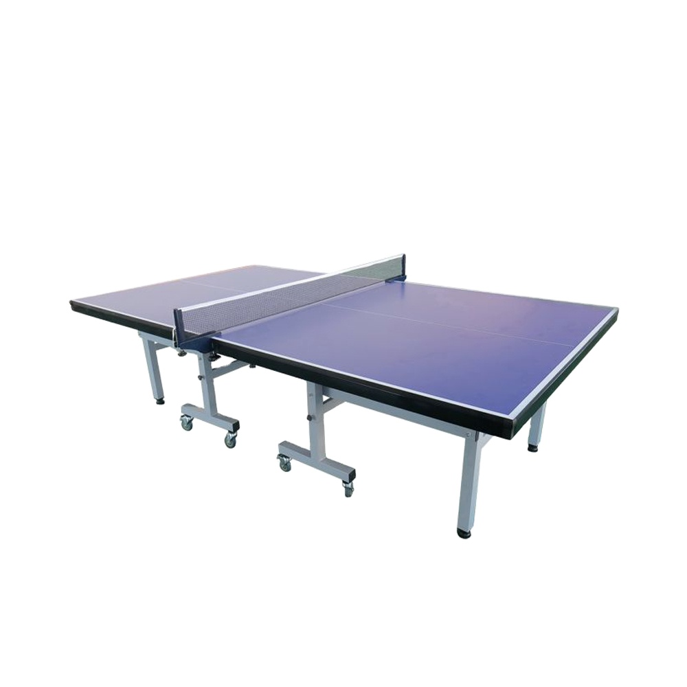 Indoor Tafeltennistafel van to - Table Tennis Training recensie en prijs