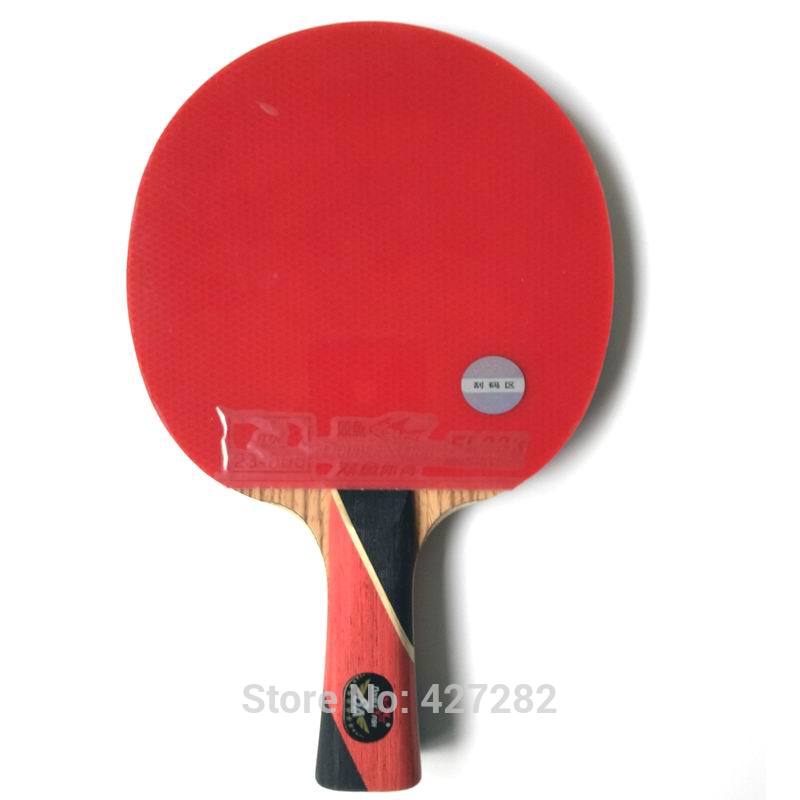Originele Double Fish Tafelten - Table Tennis Padel recensie en prijs